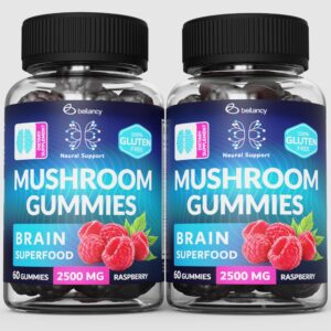 Reishi and Chaga Mushroom Gummies: Unlock Memory and Focus Potential