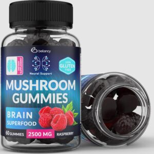 Mind Sharpening Mushroom Gummies: Lion's Mane Chaga and Cordyceps Blend