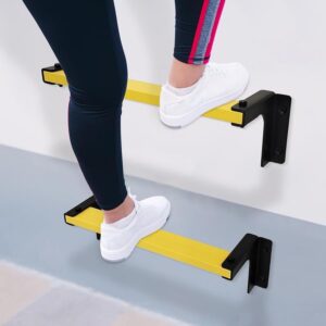 Wall Rungs 10 | Wall Climbing Rungs | Non Slip Rungs for Concrete Wall | Durable Ladder for House Tank or Well | Stainless Rustproof Fireproof & Sturdy | Bearing Weight 670 LB
