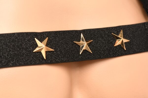 Master Series Elastic Chest Harness W/ Arm Bands - Image 2