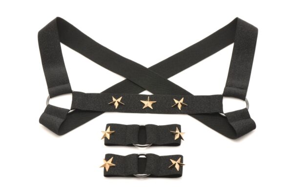 Master Series Elastic Chest Harness W/ Arm Bands - Image 3