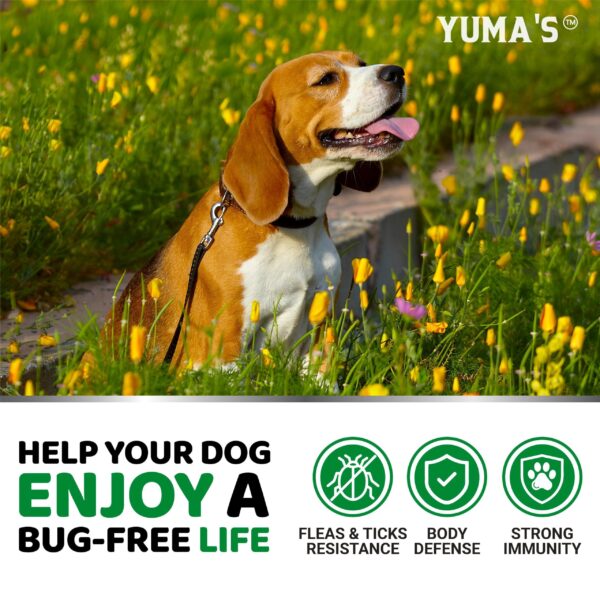 Flea and Tick Chews   Soft Chewables   Made in USA   Advanced Formulation for Maximum Efficacy - Image 3