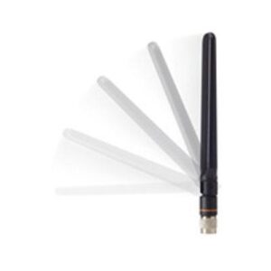 Dual Band 4 dBi Dipole Ant