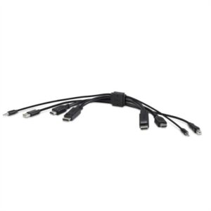 TAA DUAL 1 HDMI HDMI 1 DP
