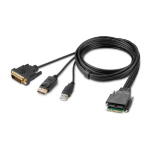 DVI and DP Dual Head Host Cbl