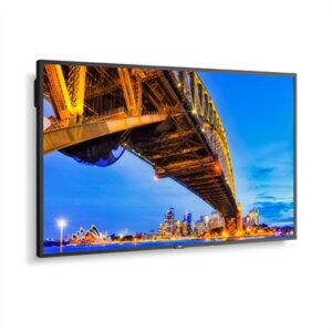 NEC MultiSync M501 2