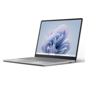 SfcLtpGo3 i5-16-256 Platinum