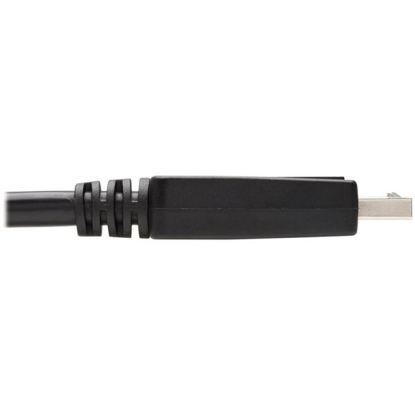 Eaton Tripp Lite Series DisplayPort to DVI Adapter Cable (DP with Latches to DVI-D Single Link M/M), 6 ft. (1.8 m) - Image 5