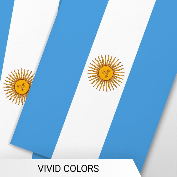 G128 Argentina Argentinian Bunting Banner | Flag 8.2 x 5.5 Inch, Full String 33 Feet | Printed 150D Polyester, Decorations For Bar, School, Festival Events Celebration - Image 6