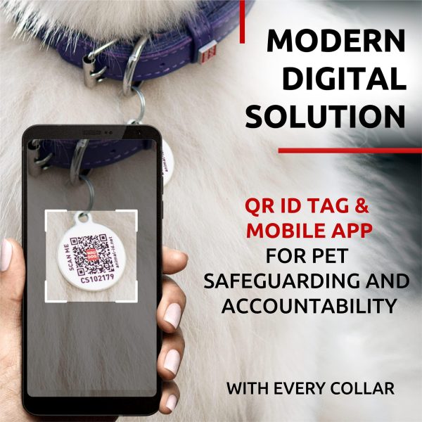Ultra Soft Rolled Leather Dog Collar for Small Dogs   Soft Padded Dog Collars for Medium Dogs   Puppy Collars for Large Breed Dogs   Male and Female Dog Collar - Image 3