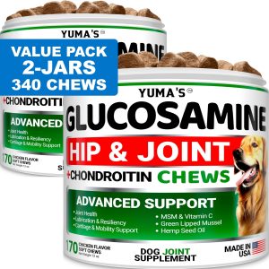 (2 Pack) Glucosamine for Dogs   Made in USA