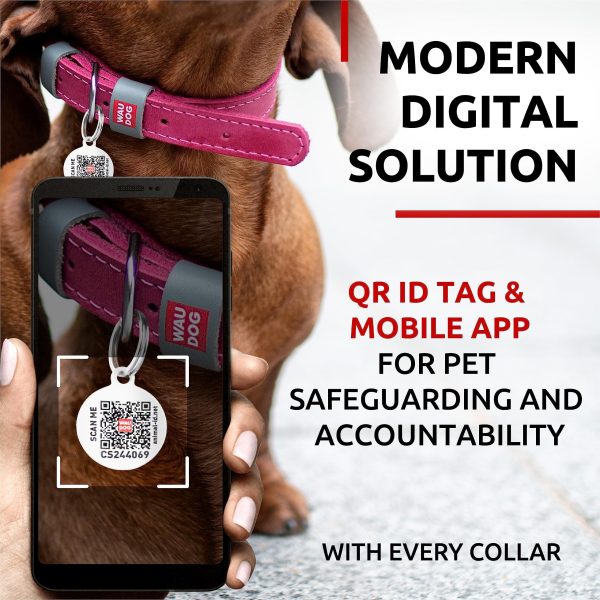 WAUDOG Long Lasting Leather Dog Collar for Large Dogs Medium & Small Dogs   Adjustable Classic Puppy Collars for Large Breed Dogs   Boy & Girl Dog Collars with Durable Buckle D Ring & QR Dog Tag - Image 5