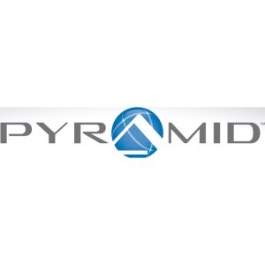 Pyramid Time Systems 42415 Pyramid Time Cards, 100/pk
