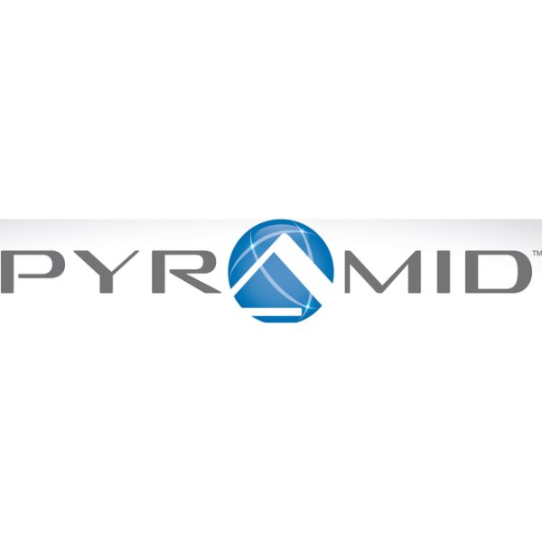 Pyramid Time Systems 42415 Pyramid Time Cards, 100/pk