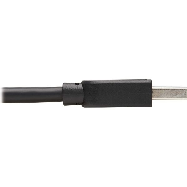 Eaton Tripp Lite Series USB 3.0 SuperSpeed A to A Cable for USB 3.0 All-in-One Keystone/Panel Mount Couplers (M/M), Black,15 ft. (4.6 m) - Image 4
