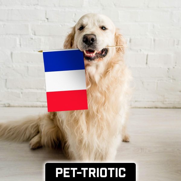 G128 24 Pack Handheld France French Stick Flags | 12x18 In | Printed 150D Polyester, Country Flag, Solid Wooden Stick, Spear Gold Tip - Image 7