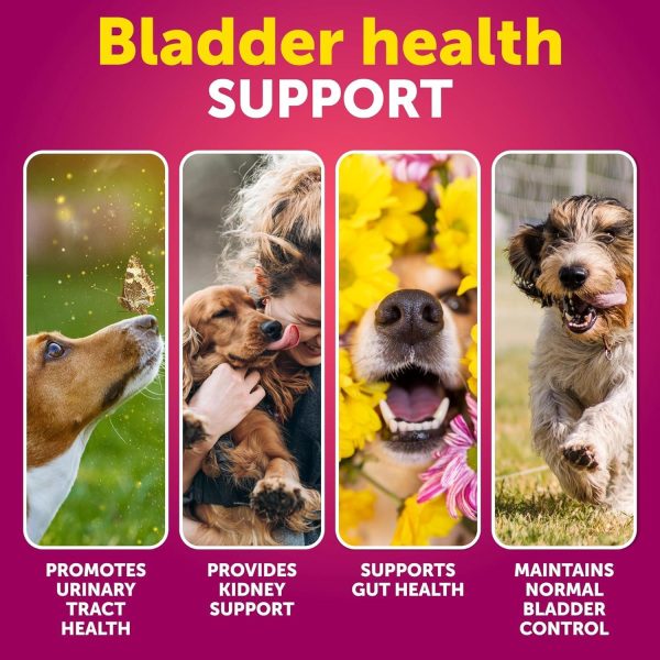 Dog UTI Treatment   Cranberry Supplement & Bladder Control for Dogs   Urinary Tract Infection Incontinence Pill Bladder Stones   UTI Medicine Treats   70 Soft Chews for Kidney Support with Fish Oil - Image 2
