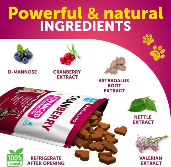 Dog UTI Treatment   Cranberry Supplement & Bladder Control for Dogs   Urinary Tract Infection Incontinence Pill Bladder Stones   UTI Medicine Treats   70 Soft Chews for Kidney Support with Fish Oil - Image 3