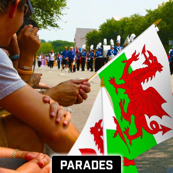 G128 24 Pack Handheld Wales Welsh Stick Flags | 12x18 In | Printed 150D Polyester, Country Flag, Solid Wooden Stick, Spear Gold Tip - Image 5