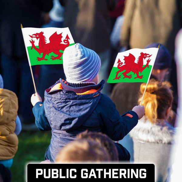 G128 24 Pack Handheld Wales Welsh Stick Flags | 12x18 In | Printed 150D Polyester, Country Flag, Solid Wooden Stick, Spear Gold Tip - Image 6
