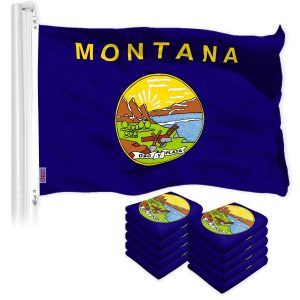 G128 10 Pack: Montana MT State Flag | 3x5 Ft | LiteWeave Pro Series Printed 150D Polyester | Indoor/Outdoor, Vibrant Colors, Brass Grommets, Thicker and More Durable Than 100D 75D Polyester