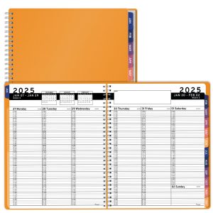 2025 Appointment Book & Planner   8.5 x 11 inches Large Tabbed Daily Hourly Weekly Planner Calendar & Schedule Book 15 Minute time Slots Business & Personal Planner Jan 2025  Dec 2025  Yellow