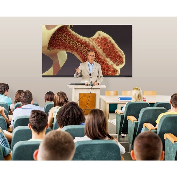 Sharp 4PB75EJ2U 75" Professional Display - Image 3