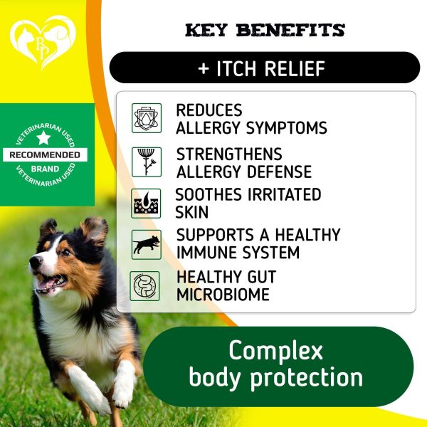 Dog Anti Itch & Allergy Relief Chews   Dry Itchy Skin & Hot Spot Treatment with Probiotic Omega 3 Oil  Immune Supplement & Seasonal Allergies Medicine for Dogs Puppy   140 Bites Made in USA - Image 2