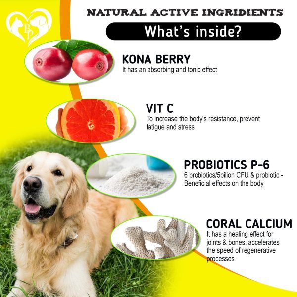 Dog Anti Itch & Allergy Relief Chews   Dry Itchy Skin & Hot Spot Treatment with Probiotic Omega 3 Oil  Immune Supplement & Seasonal Allergies Medicine for Dogs Puppy   140 Bites Made in USA - Image 4