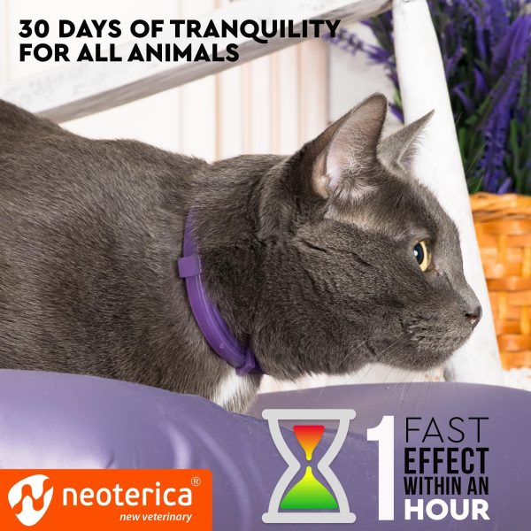 Cat Calming Collar & Pet Anti Anxiety Products   Feline Calm Pheromones Collars & Cats Stress Relief   Comfort Helps with Pee New Zone Aggression Fighting with Dogs & Other Behavior - Image 2