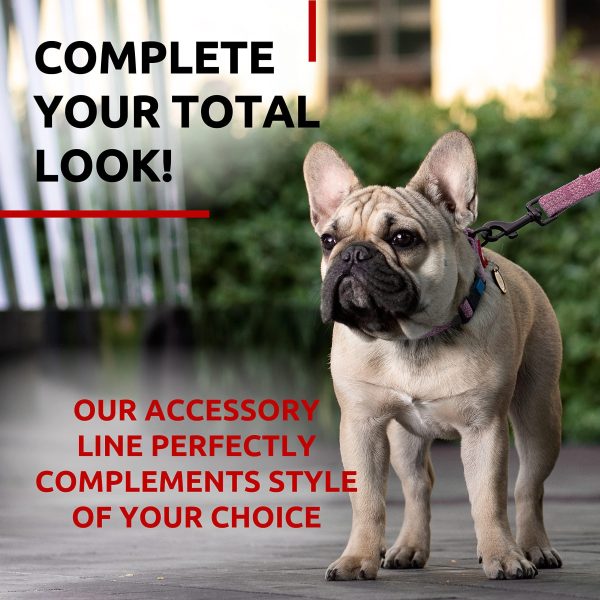 WAUDOG Recycled Cotton Dog Leash 6 Ft   10 Ft Eco Friendly Collar for Small Medium & Large Dogs   Reflective Dog Leash for Medium Dogs   Strong Leashes for Large Breed Dogs Puppy Leash for Small Dogs - Image 6