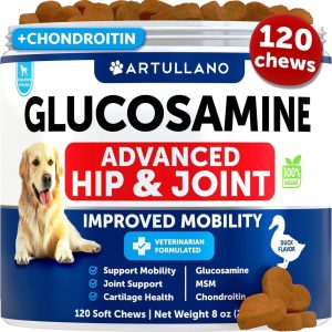 Glucosamine for Dogs   Hip and Joint Supplement for Dogs with Arthritis   Chews with Chondroitin Hemp Oil MSM   Canine Joint Pain Relief Health   Mobility Support for Large Breeds   120 Soft Treats