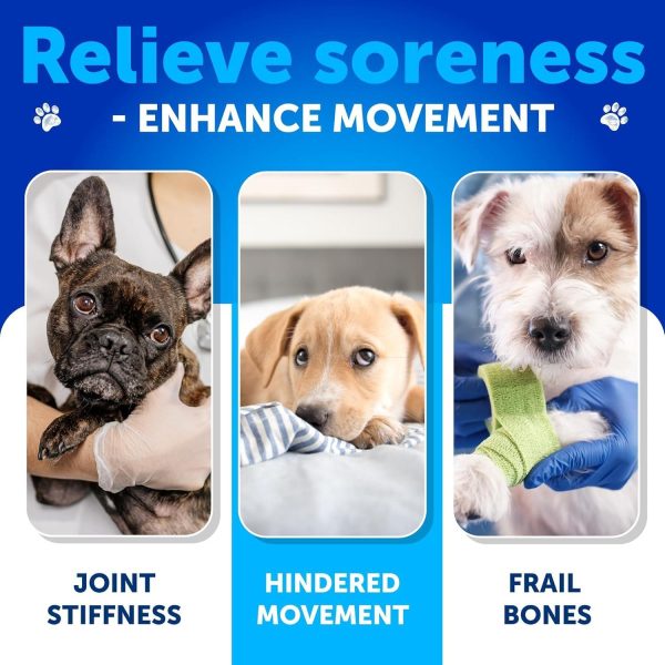 Glucosamine for Dogs   Hip and Joint Supplement for Dogs with Arthritis   Chews with Chondroitin Hemp Oil MSM   Canine Joint Pain Relief Health   Mobility Support for Large Breeds   120 Soft Treats - Image 2