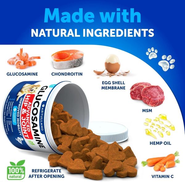 Glucosamine for Dogs   Hip and Joint Supplement for Dogs with Arthritis   Chews with Chondroitin Hemp Oil MSM   Canine Joint Pain Relief Health   Mobility Support for Large Breeds   120 Soft Treats - Image 3