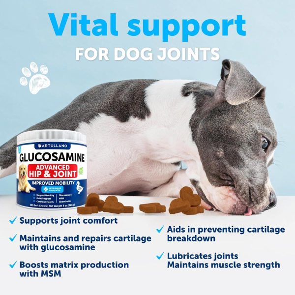 Glucosamine for Dogs   Hip and Joint Supplement for Dogs with Arthritis   Chews with Chondroitin Hemp Oil MSM   Canine Joint Pain Relief Health   Mobility Support for Large Breeds   120 Soft Treats - Image 5
