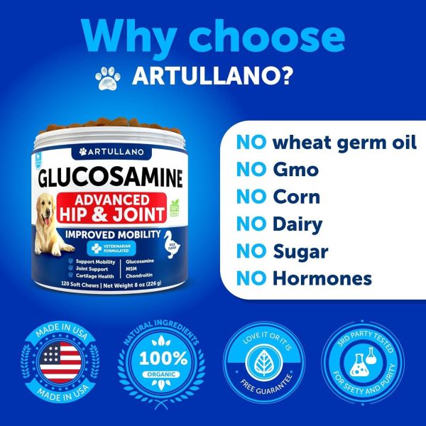 Glucosamine for Dogs   Hip and Joint Supplement for Dogs with Arthritis   Chews with Chondroitin Hemp Oil MSM   Canine Joint Pain Relief Health   Mobility Support for Large Breeds   120 Soft Treats - Image 6