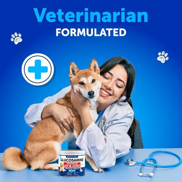 Glucosamine for Dogs   Hip and Joint Supplement for Dogs with Arthritis   Chews with Chondroitin Hemp Oil MSM   Canine Joint Pain Relief Health   Mobility Support for Large Breeds   120 Soft Treats - Image 7