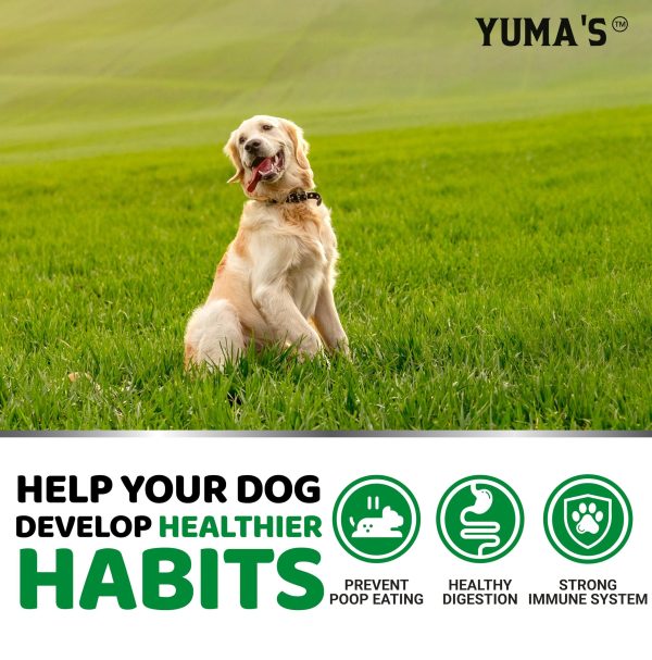 YUMA'S NO Poo Chews - Image 4