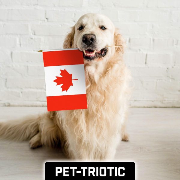 G128 50 Pack Handheld Canada Canadian Stick Flags | 12x18 In | Printed 150D Polyester, Country Flag, Solid Wooden Stick, Spear Gold Tip - Image 7