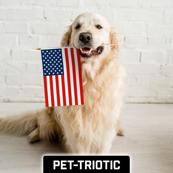 G128 50 Pack Handheld American USA Stick Flags | 12x18 In | Printed 150D Polyester, Country Flag, Solid Wooden Stick, Spear Gold Tip, Great for Patriotic Decorations - Image 7