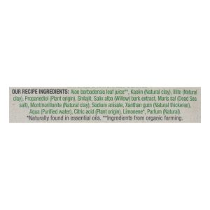 Earth Kiss - Sheet Msk Bmb Hydrtng - Case of 12-1 Count