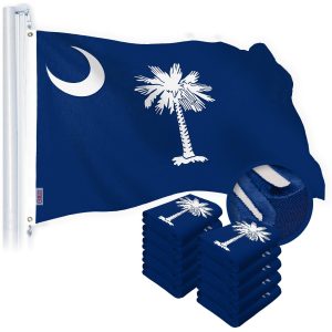 G128 10 Pack: South Carolina SC State Flag | 1x1.5 Ft | StormFlyer Series Embroidered 220GSM Spun Polyester | Embroidered Design, Indoor/Outdoor, Brass Grommets, Heavy Duty, All Weather
