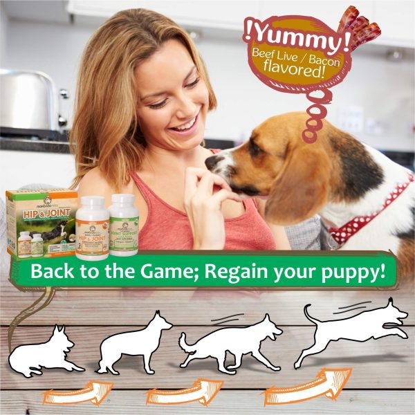 Hip and Joint Supplement for Dogs with Chondroitin Collagen for Dogs Turmeric Boswellia Dog Glucosamine for Dogs & MSM   Dog Arthritis Supplement. Extend Dog Joint Supplement Large Breed and Small - Image 4