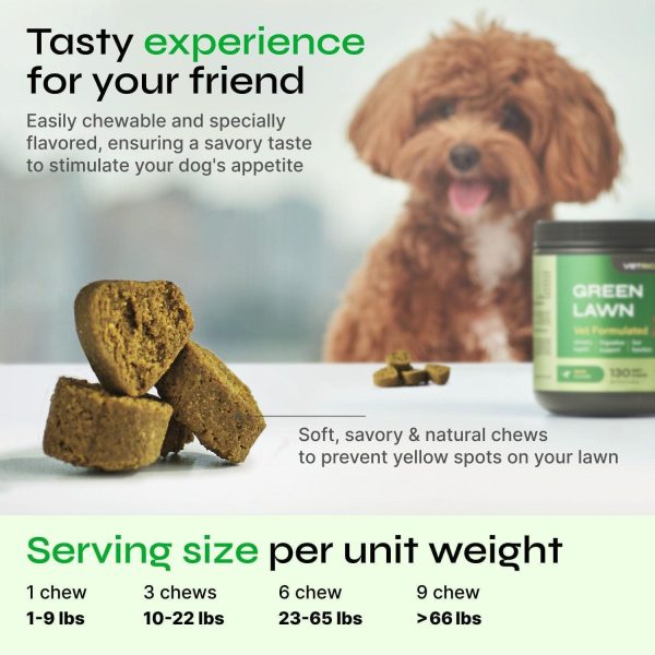 Dog Urine Neutralizer for Lawn   Grass Burn Spot Chews for Dogs   Dog Pee Grass Spot Saver   Green Lawn Treats with Enzymes   Digestive and Gut Health Support Chews   Canine UTI Support Supplement - Image 3