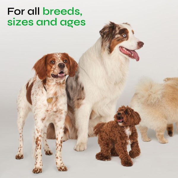 Dog Urine Neutralizer for Lawn   Grass Burn Spot Chews for Dogs   Dog Pee Grass Spot Saver   Green Lawn Treats with Enzymes   Digestive and Gut Health Support Chews   Canine UTI Support Supplement - Image 7