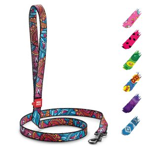 WAUDOG Nylon Dog Leash for Small Dogs and Medium Dogs 4 Ft   Strong Dog Leash for Large Dogs   Heavy Duty Dog Leashes for Large Breed Dogs & Puppy Leash for Small Boy & Girl Dogs