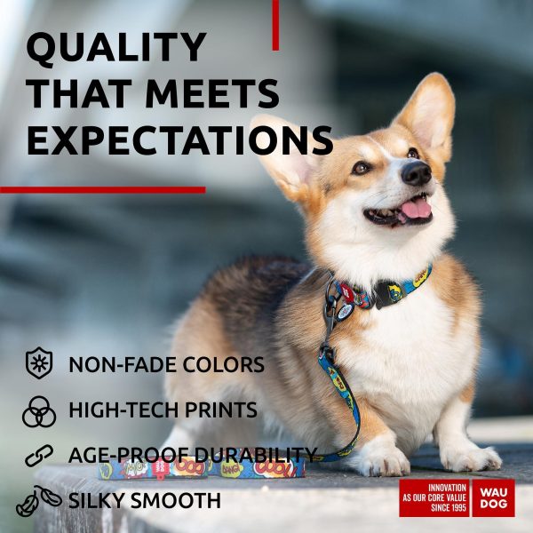 Nylon Dog Leash for Small Dogs and Medium Dogs 4 Ft   Strong Dog Leash for Large Dogs   Heavy Duty Dog Leashes for Large Breed Dogs & Puppy Leash for Small Boy & Girl Dogs - Image 4