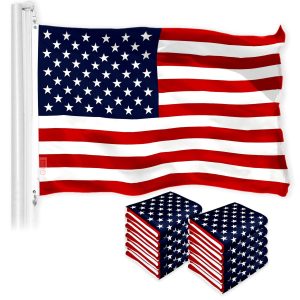 G128 10 Pack: American USA Flag | 2x3 Ft | LiteWeave Pro Series Printed 150D Polyester | Country Flag, Indoor/Outdoor, Vibrant Colors, Brass Grommets, Thicker and More Durable Than 100D 75D Polyester