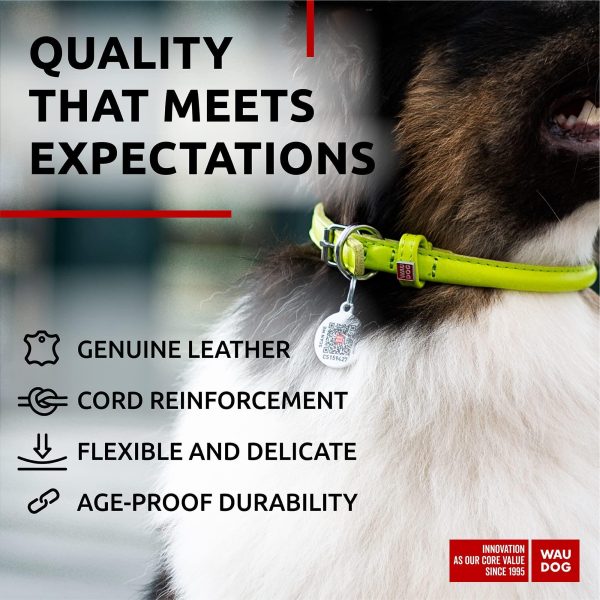 Ultra Soft Rolled Leather Dog Collar for Small Dogs   Soft Padded Dog Collars for Medium Dogs   Puppy Collars for Large Breed Dogs   Male and Female Dog Collar - Image 4