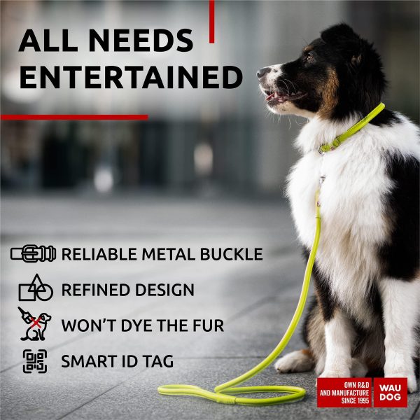 Ultra Soft Rolled Leather Dog Collar for Small Dogs   Soft Padded Dog Collars for Medium Dogs   Puppy Collars for Large Breed Dogs   Male and Female Dog Collar - Image 5